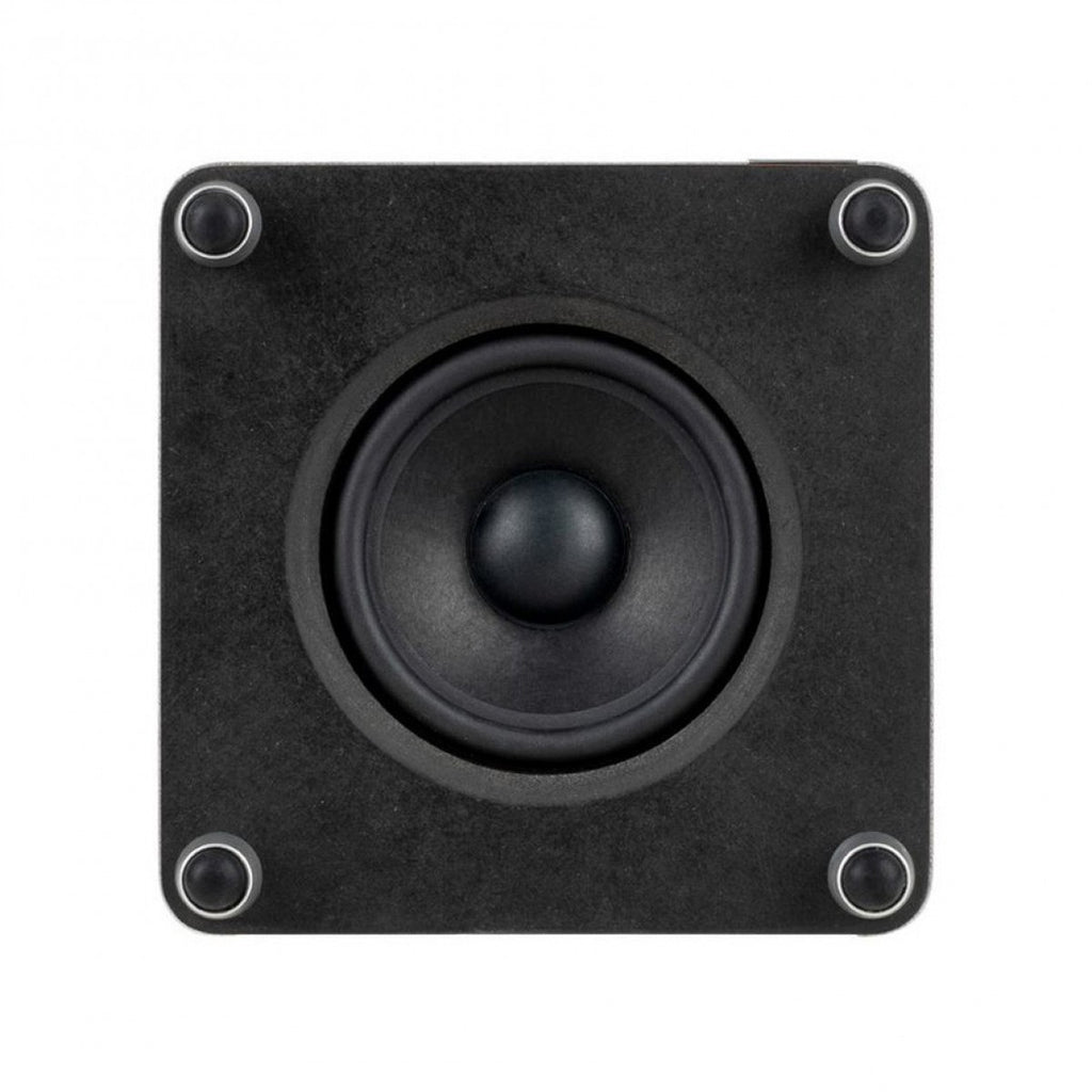 RS1 Subwoofer