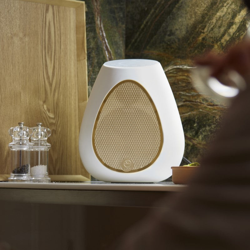 Series 3 Wireless Speaker (301)