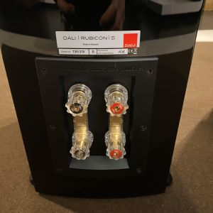 Dali Rubicon 5 loudspeakers