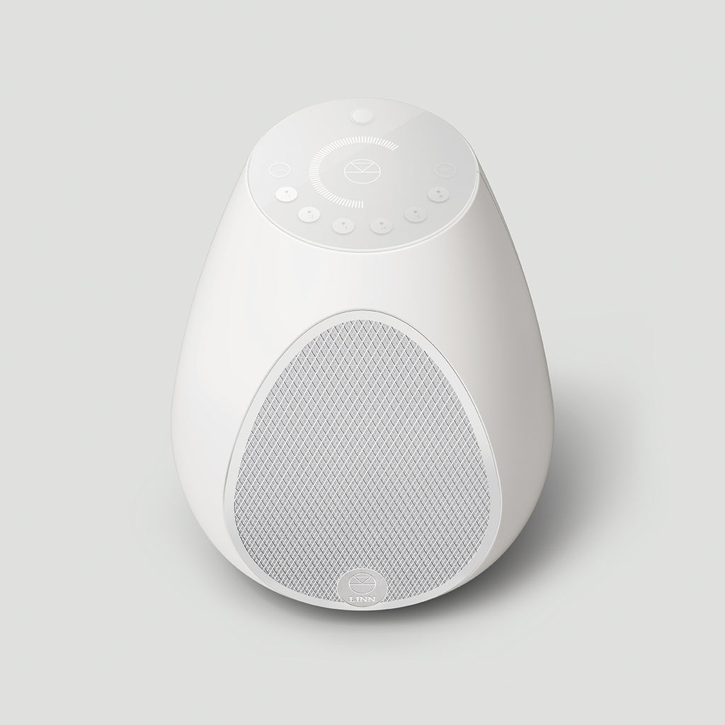 Series 3 Wireless Speaker (301)