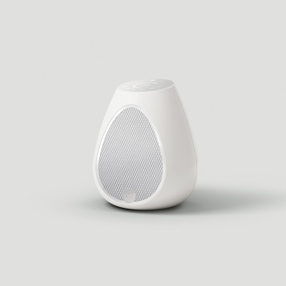 Series 3 Wireless Speaker (301)