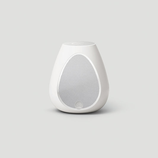 Series 3 Wireless Speaker (301)