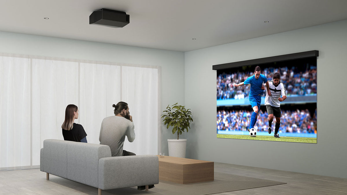 Sony Bravia Projector 7